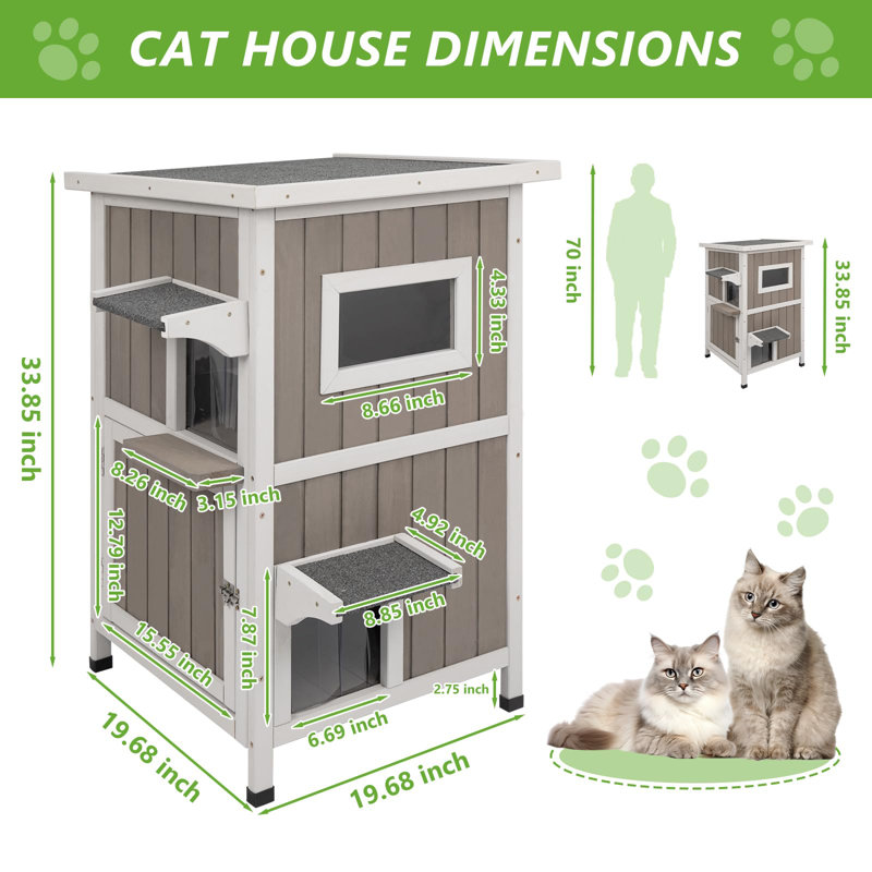 Cat House