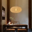 Luminaire suspendu simple à 1 lumière Arione