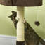 177.8cm H Cat Tree