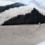 Square Pillow Cover & Insert-818798274