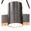 16 - Light Chandelier