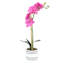 Orchidée rose et verte 18,5 "en pot