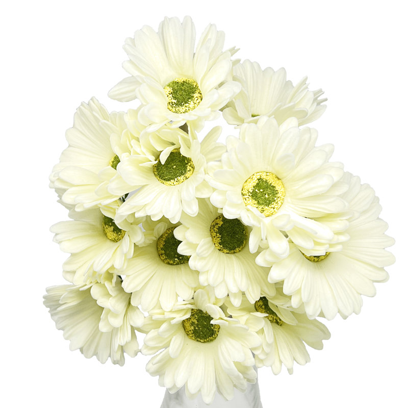 Polyether Polyurethane (PU) Daisy Arrangement, White