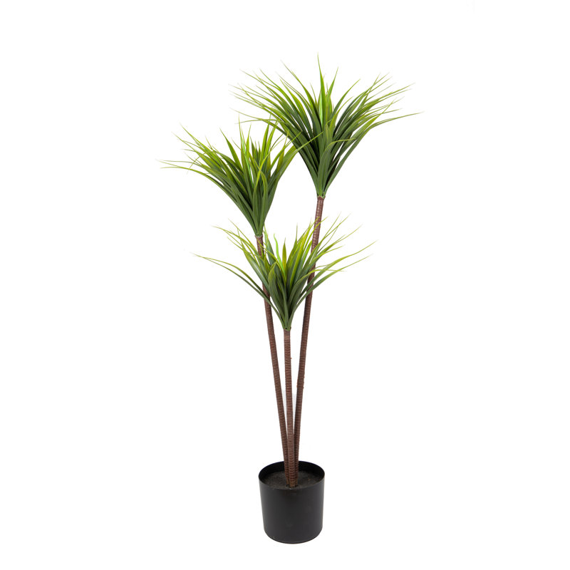 Artificiel Dracaena 55 po