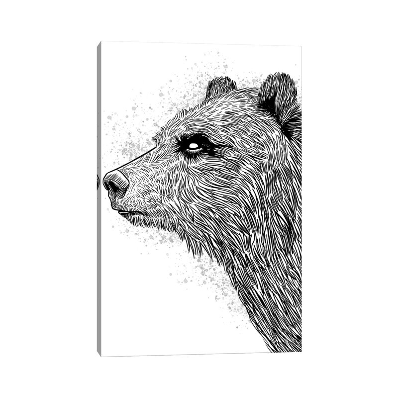 Sketch Bear Brizzly by Alberto Perez - Wrapped Canvas Print, 30.48cm H x 20.32cm W x 1.91cm D