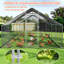Poule Diethilde