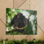 No Frame Print on Canvas-239233028