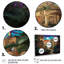 Richins - City Buildings Wall Art Set-108455694-108455691