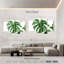 Feuilles de monstera-108744809