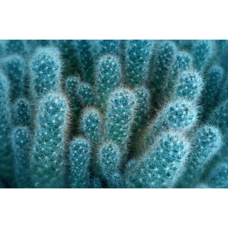 Wrapped Canvas Print, 51cm H x 76cm W