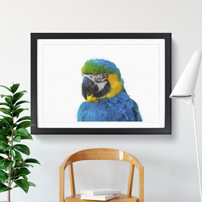 Blue & Yellow Macaw Parrot Painting - Single Picture Frame Print on MDF