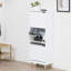 Perao 12 Pair Shoe Storage Cabinet