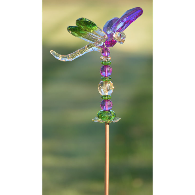 Libellule de jardin Longwell