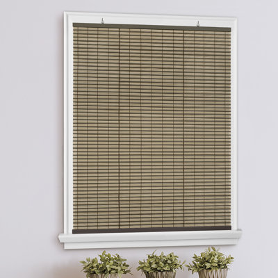 Semi Sheer Vinyl Roll-Up Shade