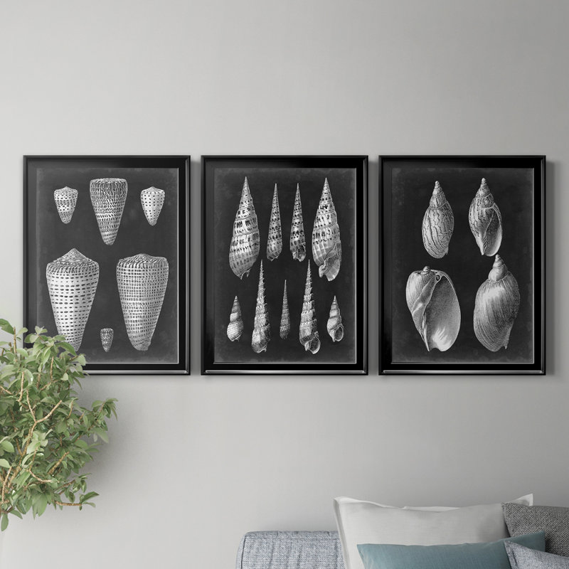 Alabaster Shells I - Ensemble de 3 peintures sur toile encadrées, H 18,5 po x l 73,5 po x P 1,5 po, Cadre noir