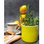 White Grapefruit Scented Jar Candle-38053254