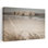 Keyhole, plage, paysage, nature, coquillages côtiers, corail, art photographique
