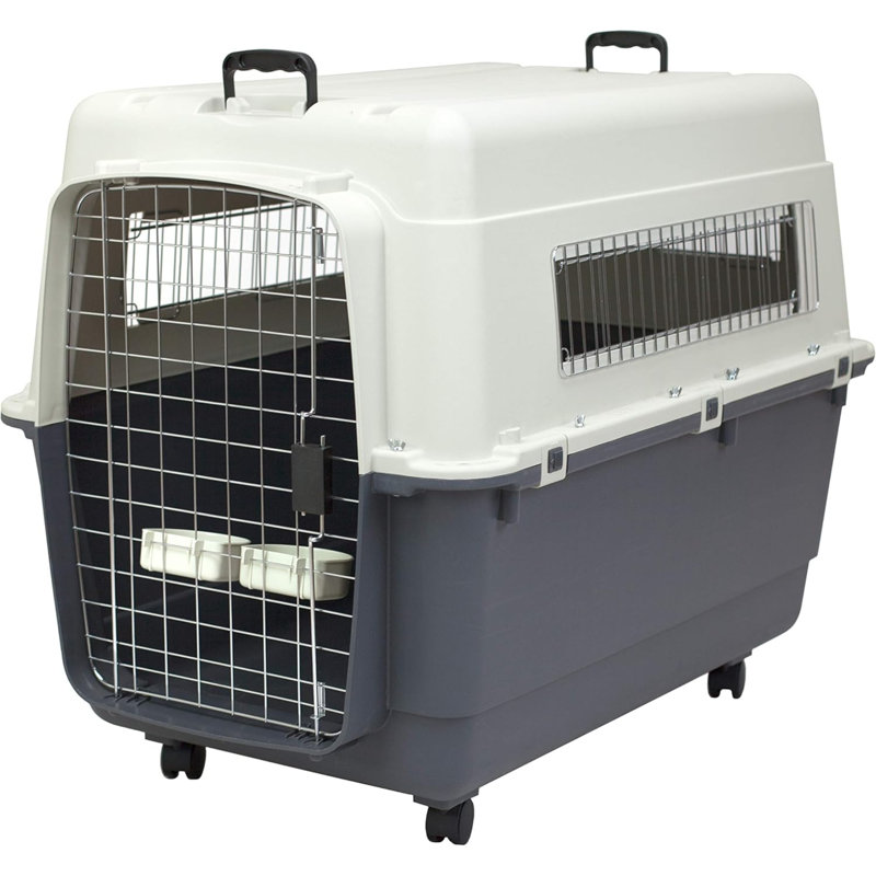 Caisse de voyage pour chien en plastique