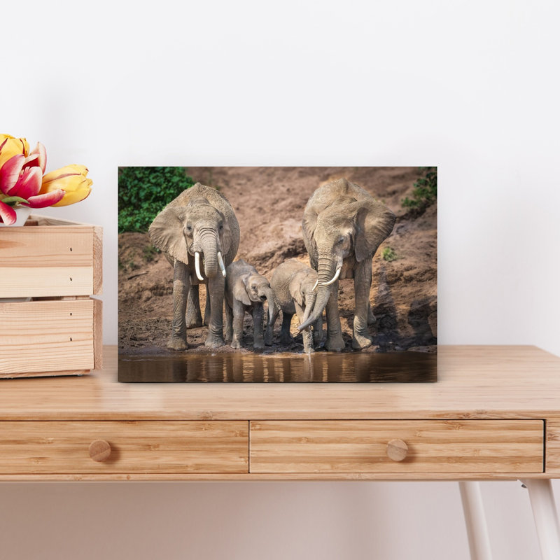 Elephant Family Drinking Contemporary Wall Art Print by Jeffrey C. Sink - 1 Piece Wrapped Canvas Wall Art