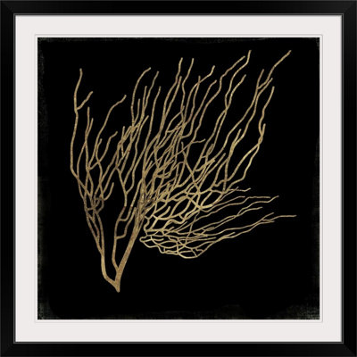 Black Coral " Coral I " by Aimee Wilson