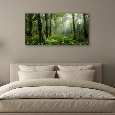 Canvas Wall Art Green Forest Sunlight Streaming Trees Wall Decor for Living Room Bathroom Bedroom Office 20"H x 40"W Art Paintings, Ready to Hang
