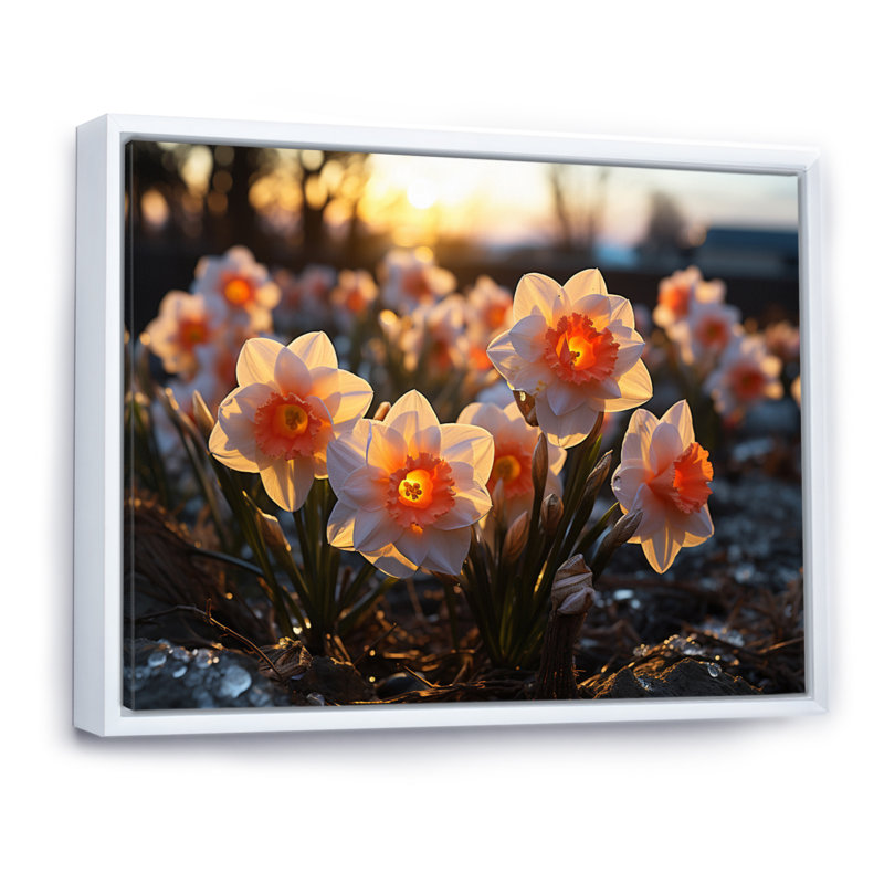 Daffodils Field Sunrise IV - Floral Wall Art Living Room, H 30 po x l 40 po x P 1,5 po, Cadre flottant blanc