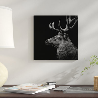 «Deer», reproduction de photo sur toile