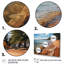 Canada Coastal Serenity II, reproduction d'art sur toile encadrée-2064073647-2064073649