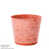 Orange is out of stock selected