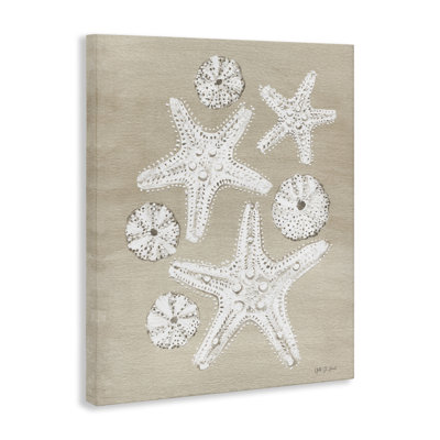 «Sandy Beach Treasures» par Candra Boggs
