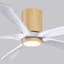 Ventilateur de plafond à 5 pales DEL avec ensemble d'éclairage inclus Irene-139126705-264743194-190528878