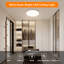 Cuayo LED Flush Mount