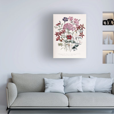 Jane Loudon Catchfly , 1843-49 Canvas Art