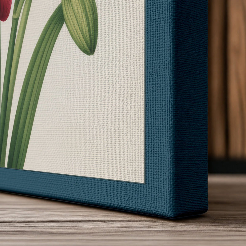 Amaryllis in Bloom Botanical - Wrapped Canvas, 24x16 - 61.0 x 40.6 cm, Teal Border