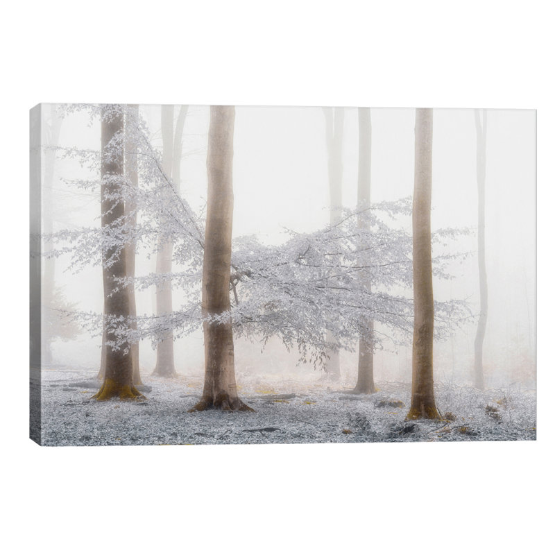 Lishka by Lars Van De Goor - Wrapped Canvas Print, 152.5 cm H x 101.5 cm W