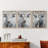 Bovine Study  Series  XLIII  -Set Of 3 Framed Giclee Prints -Ready to Hang-107258082-107258080
