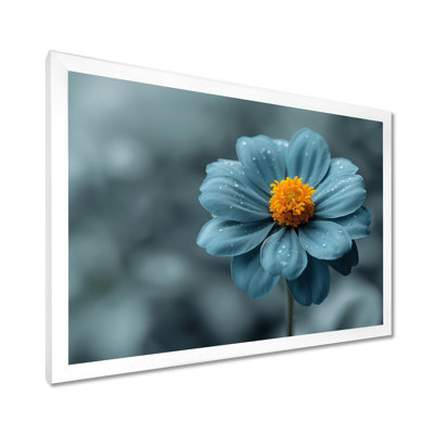 «Blue Grey Natures Marigold Photo», art mural souci