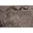 Floral Traditional Area Rug 7x10