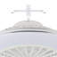 Jenkintown Ceiling Fan with LED Lights