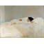 Red Barrel Studio Sorolla, Joaquin Gallery Wrapped Canvas Art Titled: Mother 63327-995129712
