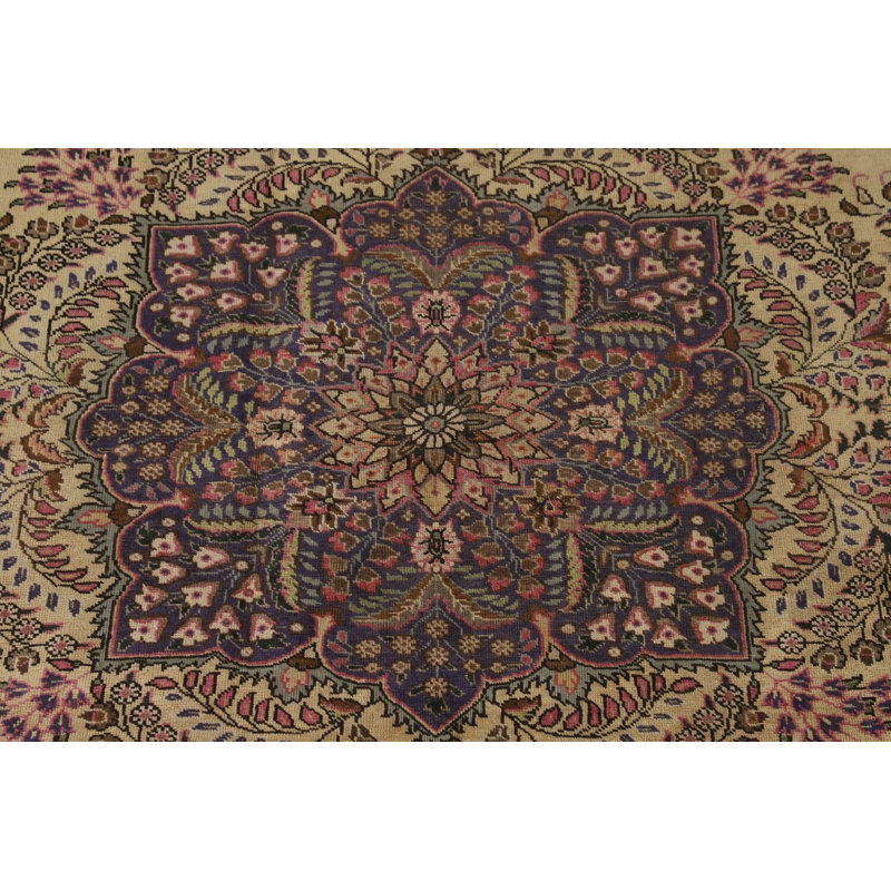 Tapis traditionnel rétro 8 x 11