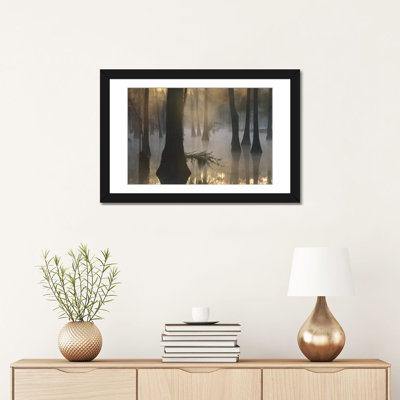 " Bald Cypress Grove In Freshwater Swamp At Dawn, Lake Fausse Pointe, Louisiana II " by Tim Fitzharris