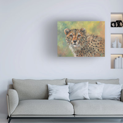 Art sur toile, David David