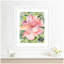 «Pink Hibiscus In Antigua» par Patricia Shaw, reproduction d'art encadrée