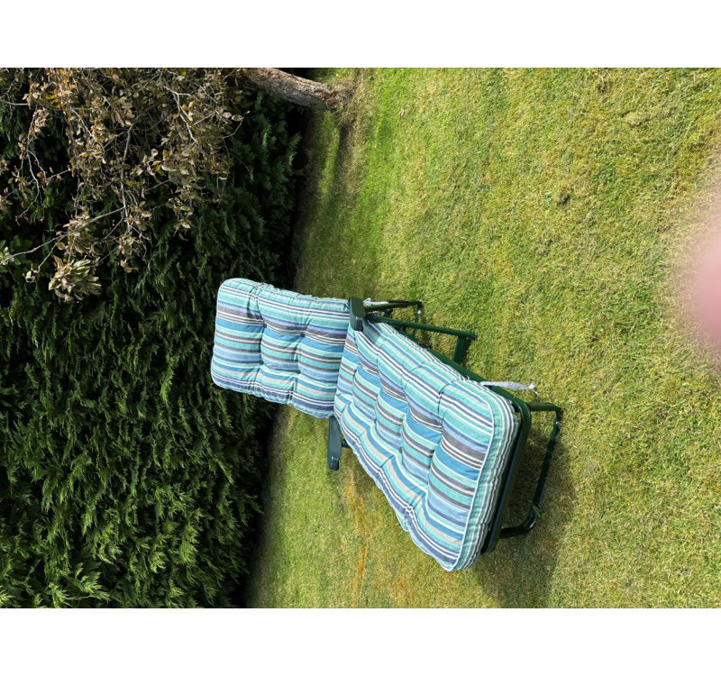 Cersten Steel Outdoor Lounge Chair, Blue, Green