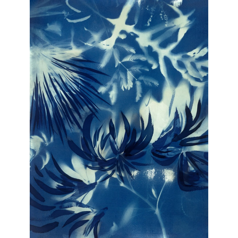 Cyanotype 2 Print by Allison Svoboda, 36" H x 28" W x 1.75" D, White Framed Paper