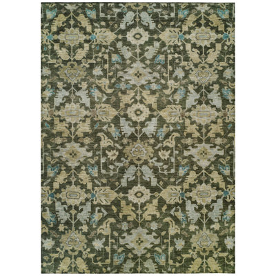 Machine Washable Indoor/Outdoor Francky ACN2358 Traditional Rug