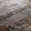 Hemet Oriental Area Rug in Gray-1542658863