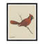Cardinal Print