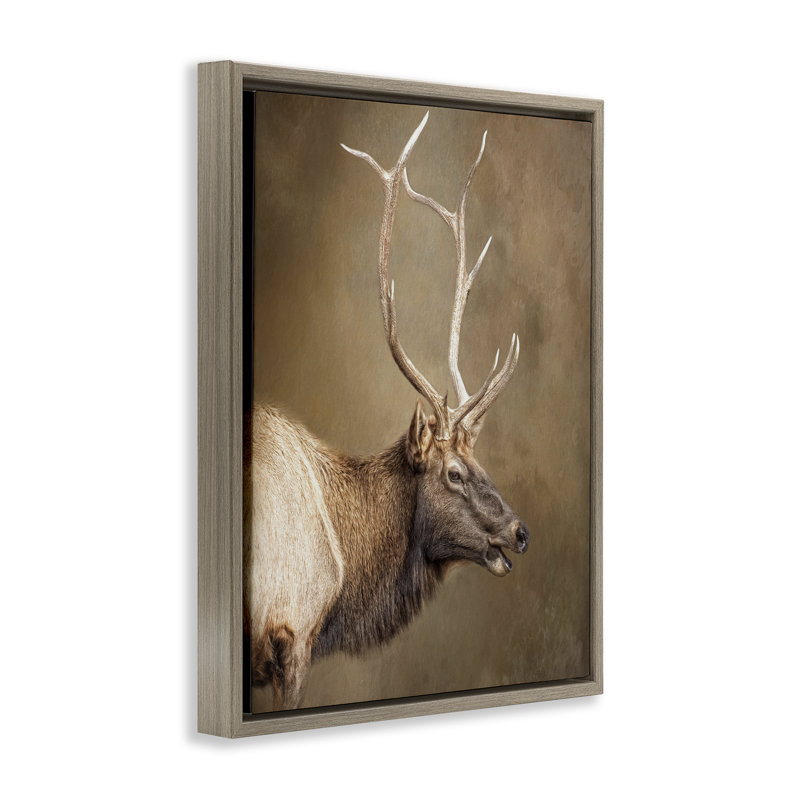 Cadre flottant Outdoorman Rustic Deer, design par Kelley Parker, H 21 po x l 17 po, Cadre flottant orme Montalcino